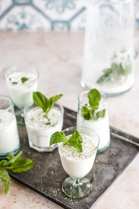 Ayran Mint Flavored Yogurt Drink